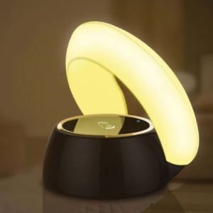 Portable Wireless Charger Power Bank