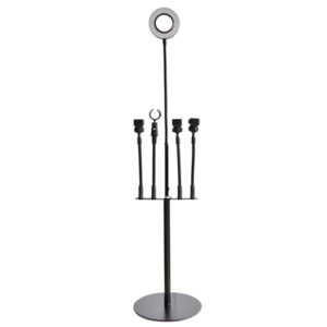 Selfie light with phone holder