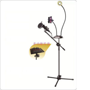 LED light with holder