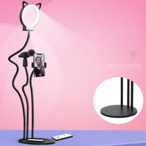 Desktop selfie light with holder