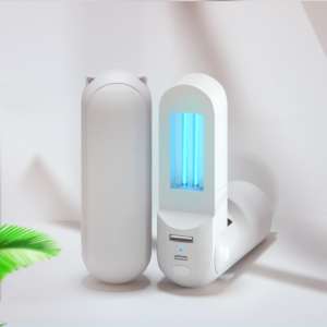 Portable household disinfectant lamp