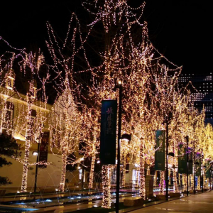 LED small lights flash lights string lights all over the sky seven color discoloration network red light