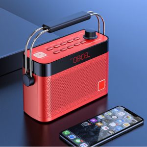 Wireless network radio Bluetooth speaker