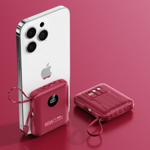 Large-capacity compact portable power bank