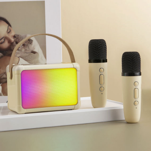 Mini karaoke card-type Bluetooth speaker