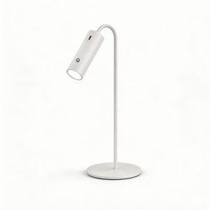 Multifunctional Smart Desk Lamp